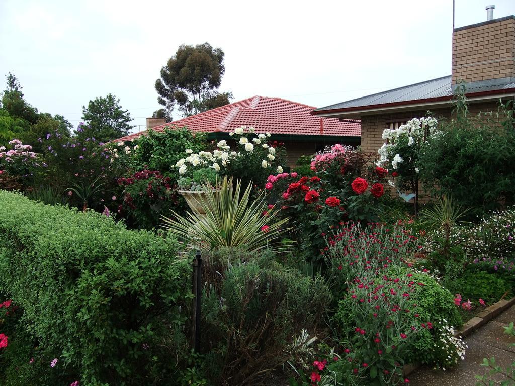 Admurraya House Bed & Breakfast Rutherglen Exteriér fotografie