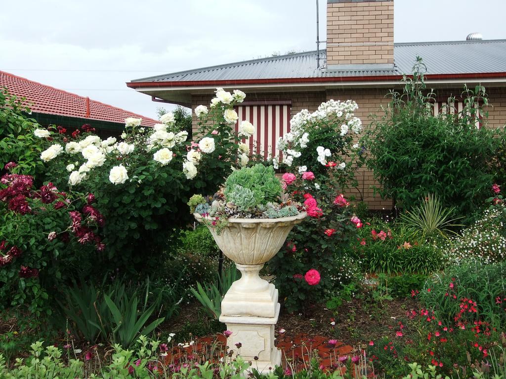 Admurraya House Bed & Breakfast Rutherglen Exteriér fotografie